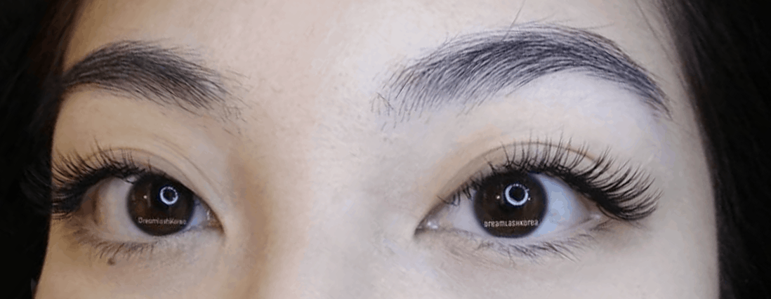 Korean Classic Eyelash Extensions Dreamlash 7684