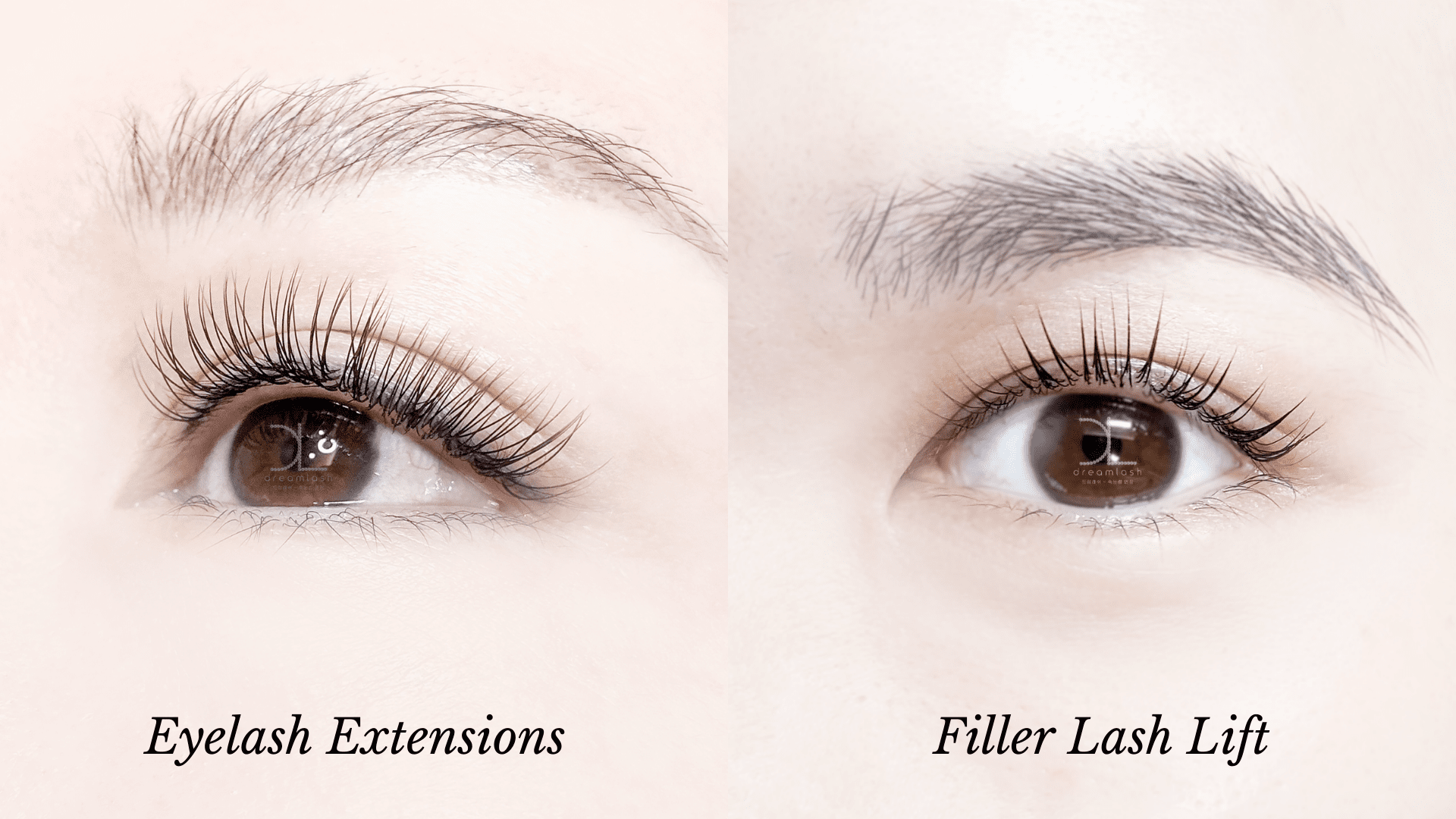 8 Things To Know Before Getting Eyelash Extensions Dreamlash